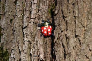 Ostereier suchen 2018, Foto Katrin Riegel