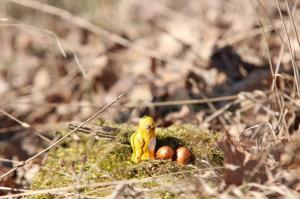 Ostereier suchen 2018, Foto Katrin Riegel